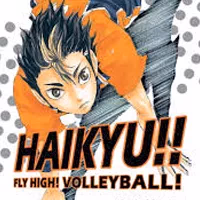 HAIKYU!! FLY HIGH