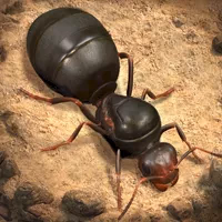 The Ants: Underground Kingdom